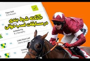 10 بهترین نکته برای شرط بندی در مسابقات اسب دوانی