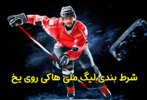 شرط بندی لیگ ملی هاکی روی یخ (جام استنلی) 2024